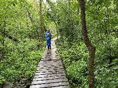 Ruth Bennett McDougal Dorrough; Board Walk; IAT; Ice Age Trail, wi